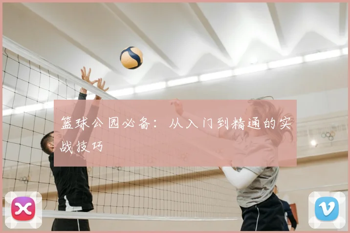 篮球公园必备：从入门到精通的实战技巧