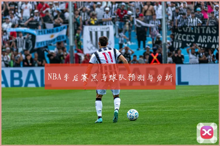 NBA季后赛黑马球队预测与分析