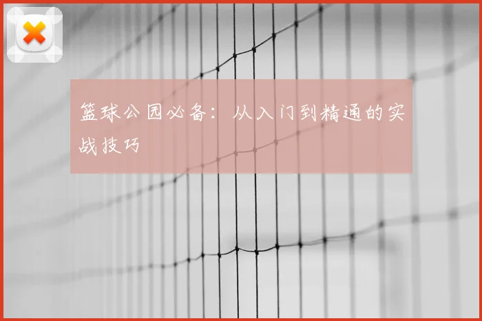 篮球公园必备：从入门到精通的实战技巧