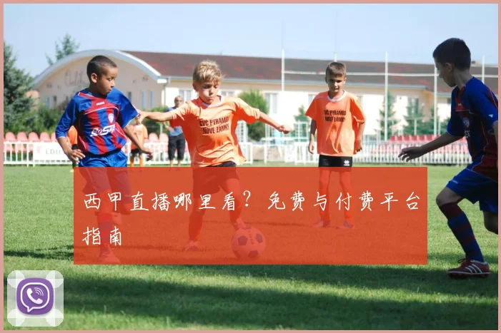 西甲直播哪里看？免费与付费平台指南