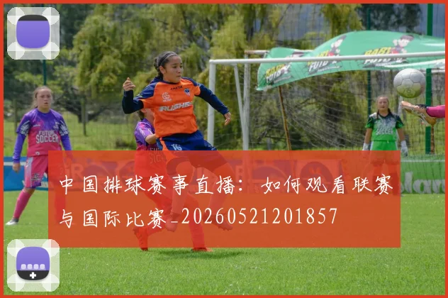 中国排球赛事直播：如何观看联赛与国际比赛_20260521201857
