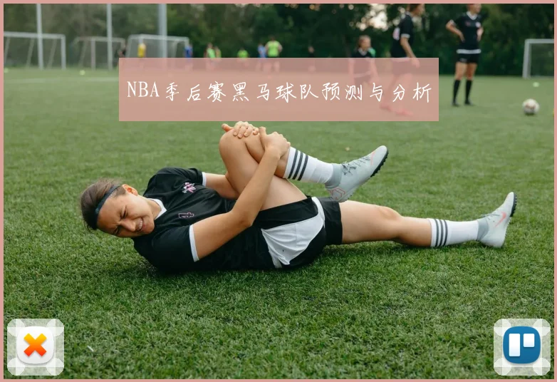 NBA季后赛黑马球队预测与分析